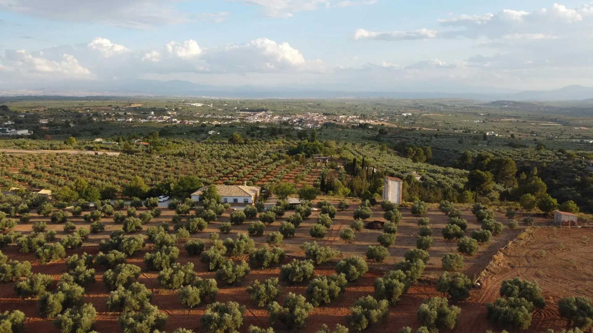 Holiday home Villa Carmencita Pozo Alcon